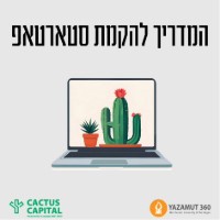 טיל עף לשמיים